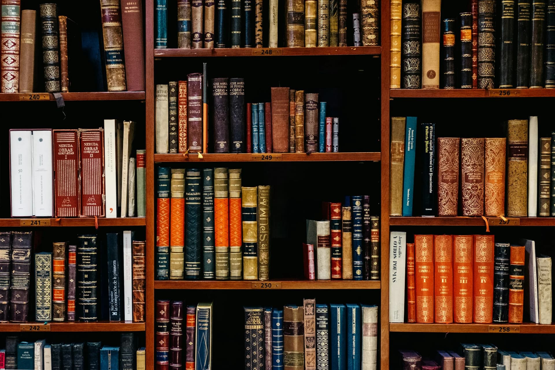 Rows of books on library shelves